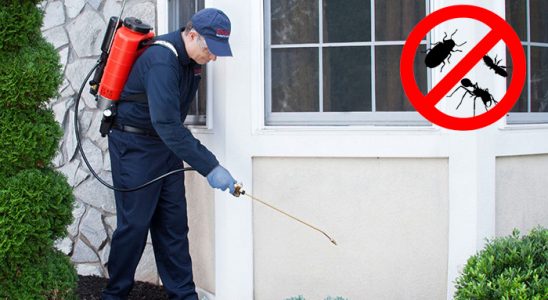 Sarıyer Böcek ve Haşere İlaçlama böcek ilaçlama ve haşere kontrolü — ilaclama-tr.com